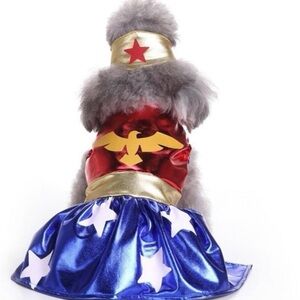 Superhero Dog Costume in Red, Blue, and Gold